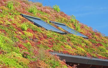 Pen Mill living roof systems